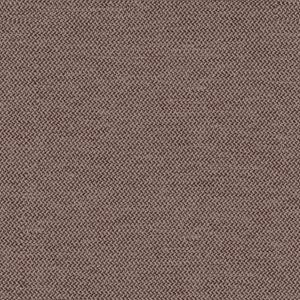 Versi Autumn - Kasedia.store