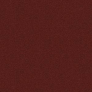 Versi Summer - Kasedia.store