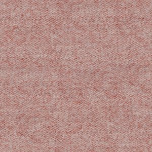 Versi Summer - Kasedia.store