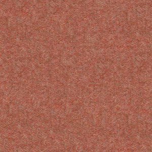 Versi Summer - Kasedia.store