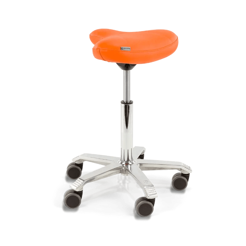 
                  
                    Jolly Sattelhocker - Kasedia.store
                  
                