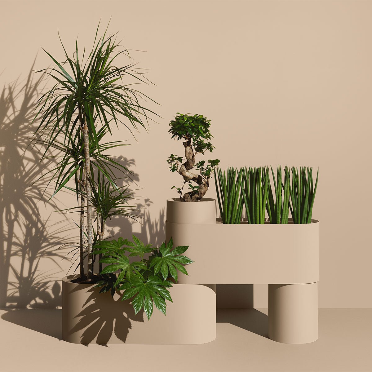 Plant Here Pflanzgefäß – Mizetto - Kasedia.store